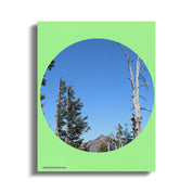 a45ad900-547f-4225-8bab-425ac8483c40