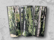 a4987d11-1b7f-4175-b63b-32db18035ed8