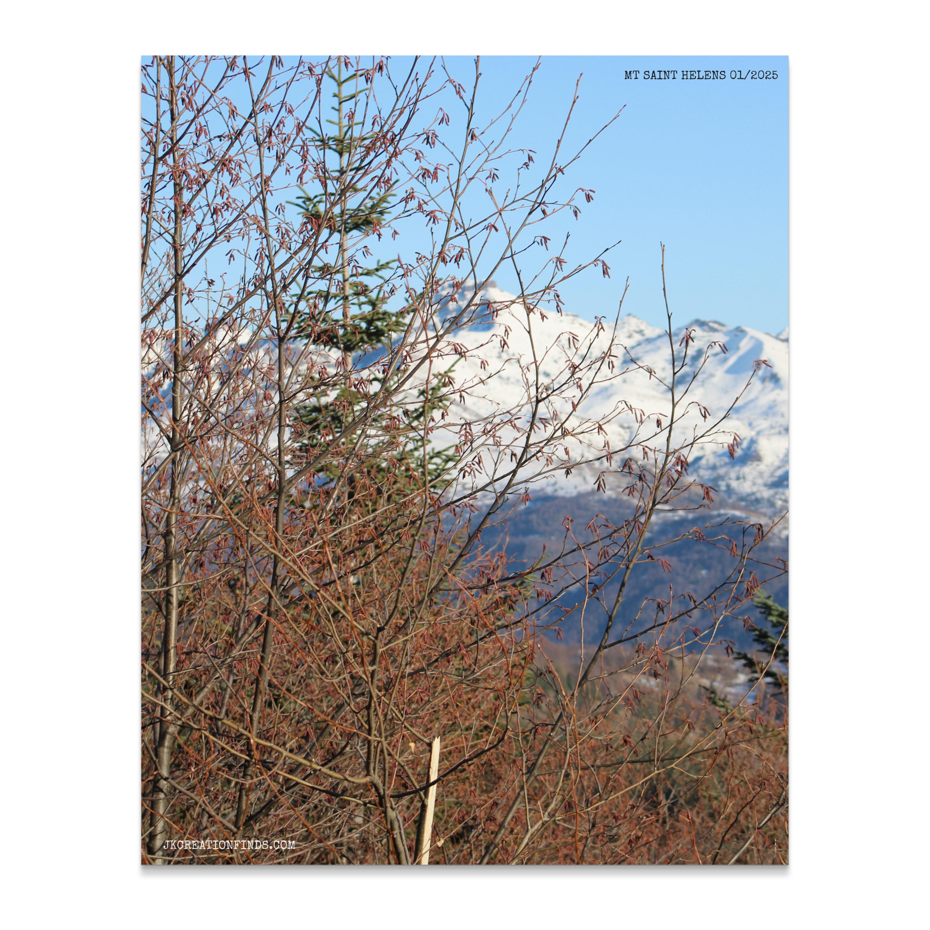 a57fa4b1-9b72-428c-bc15-009f36dc0ed6