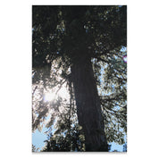 a58cff84-48c9-4bf1-b89d-0c963cee7c9c