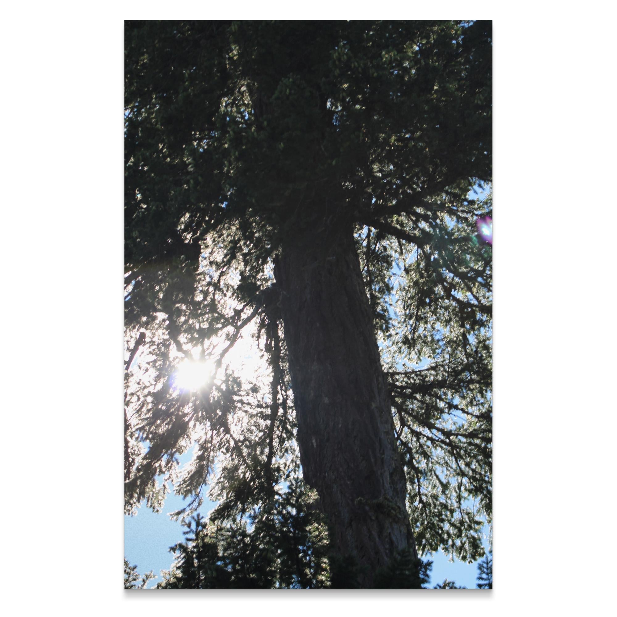 a58cff84-48c9-4bf1-b89d-0c963cee7c9c