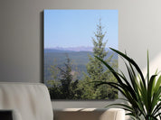 a5e51b71-55cd-4f58-9f28-e716f33b78a3