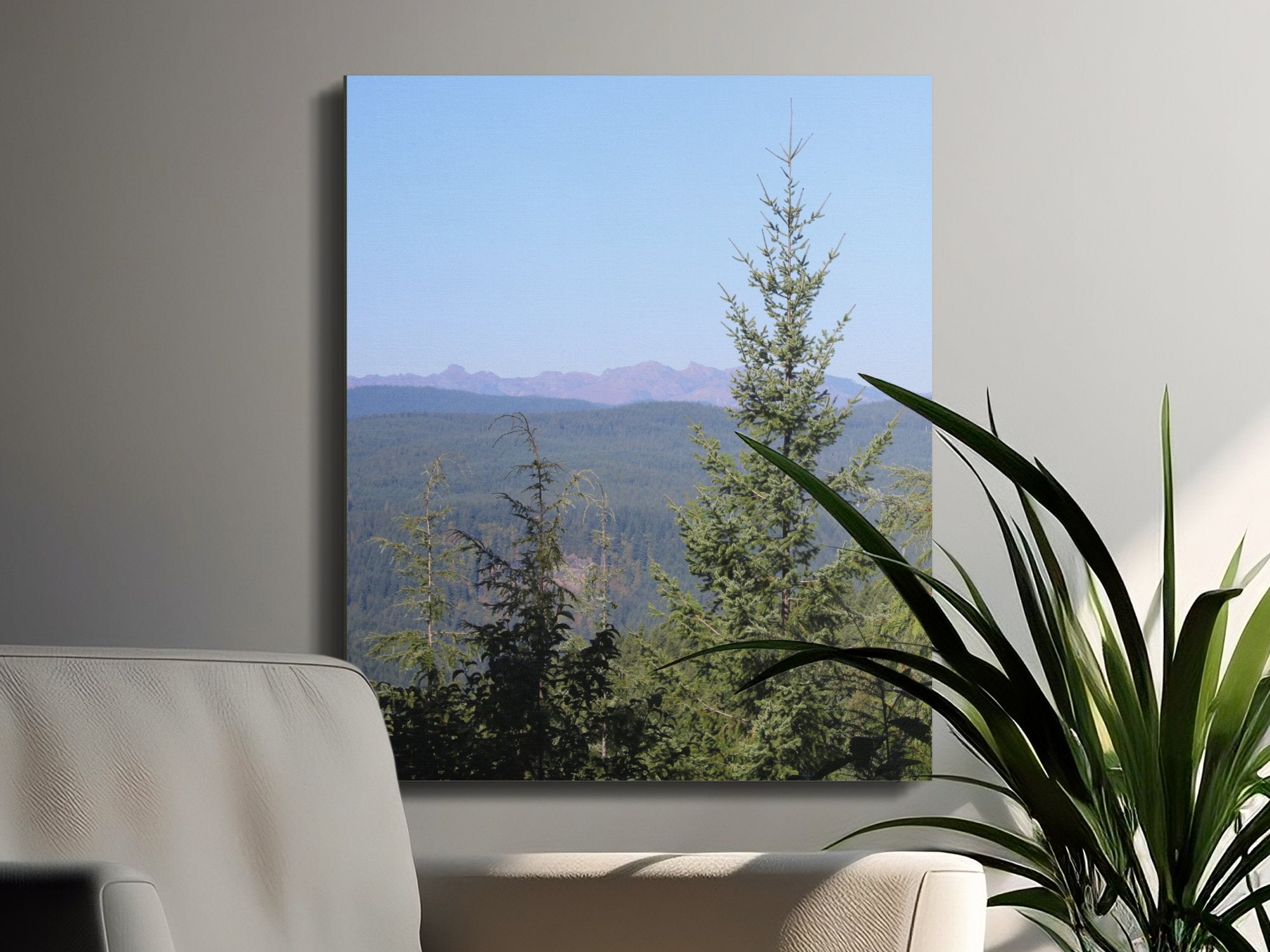 a5e51b71-55cd-4f58-9f28-e716f33b78a3