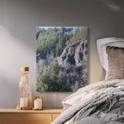 a5eb230a-2972-460d-8d03-b12e055eab91