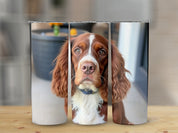 a6028d19-d845-49c6-9222-a5a4899c6000