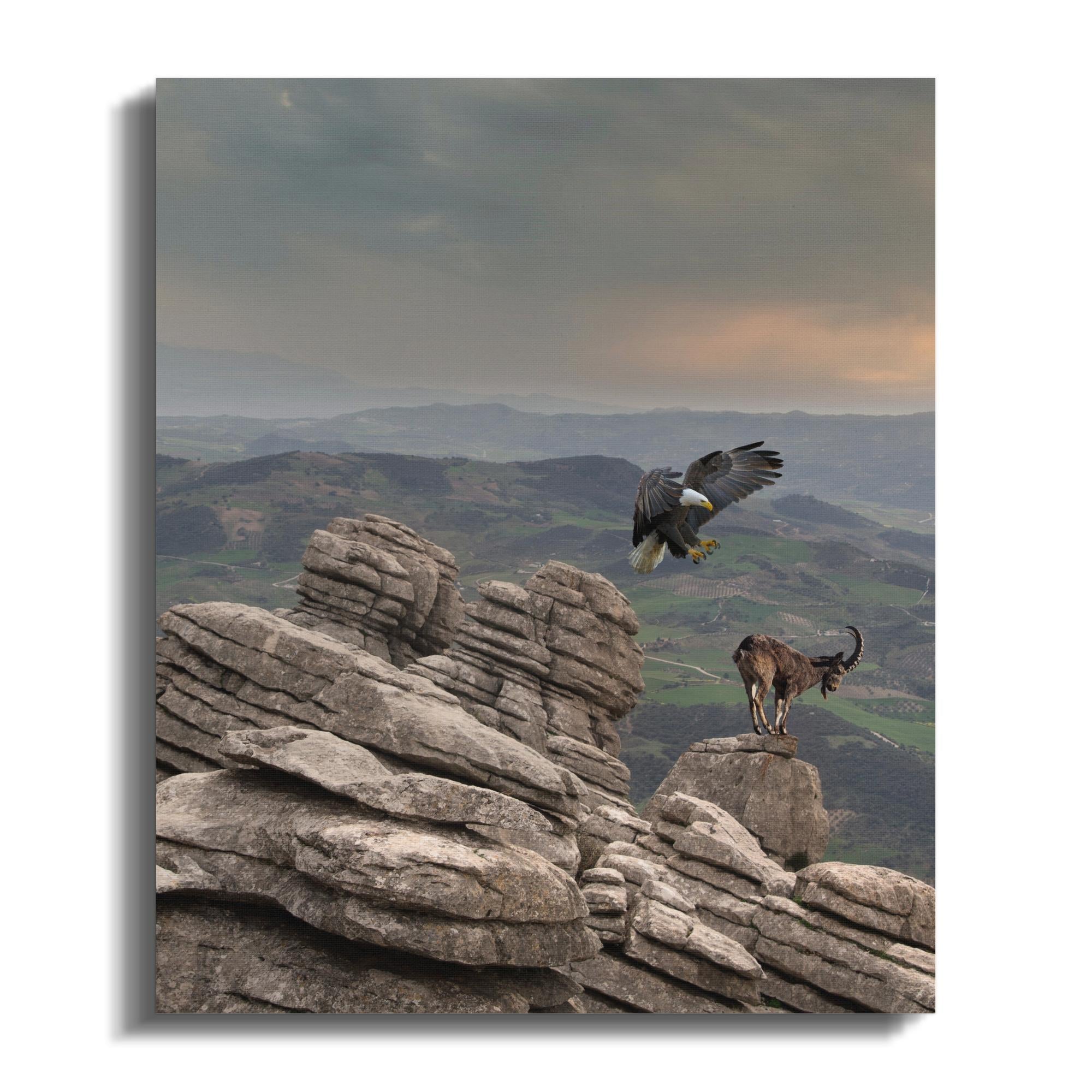 a67a0764-f9e1-40fd-a604-1d2a74b20644