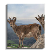 a6875b52-2eef-45c4-a4e3-88584ebbe495