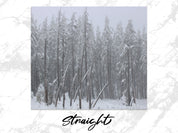 a71907b8-8471-44a2-921c-cb2a8a48354a