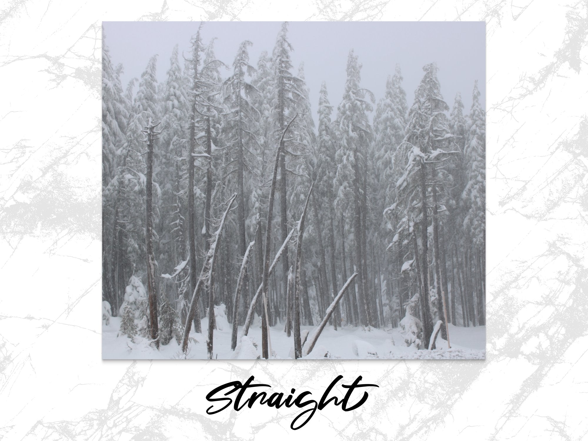 a71907b8-8471-44a2-921c-cb2a8a48354a