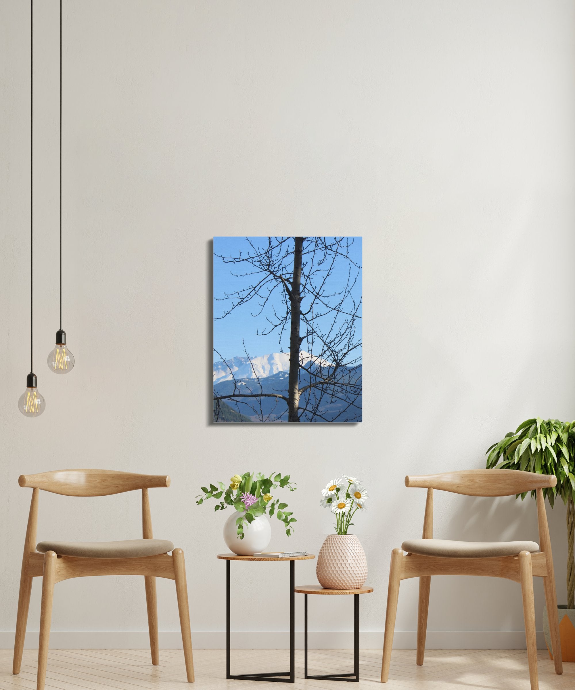 a727480d-26fa-4901-9801-239b6e51cd43