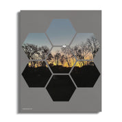 a7345164-baf4-445d-8f76-dbbe034107d8