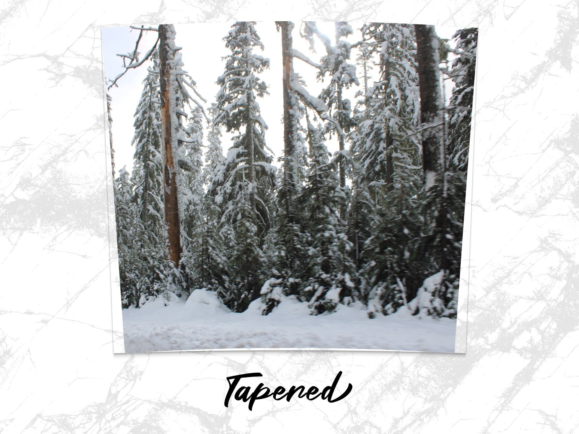 a7832b55-9d8d-4438-b7b1-66512484651b