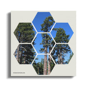 a858cb96-787a-4992-b62c-eb332e432ee1