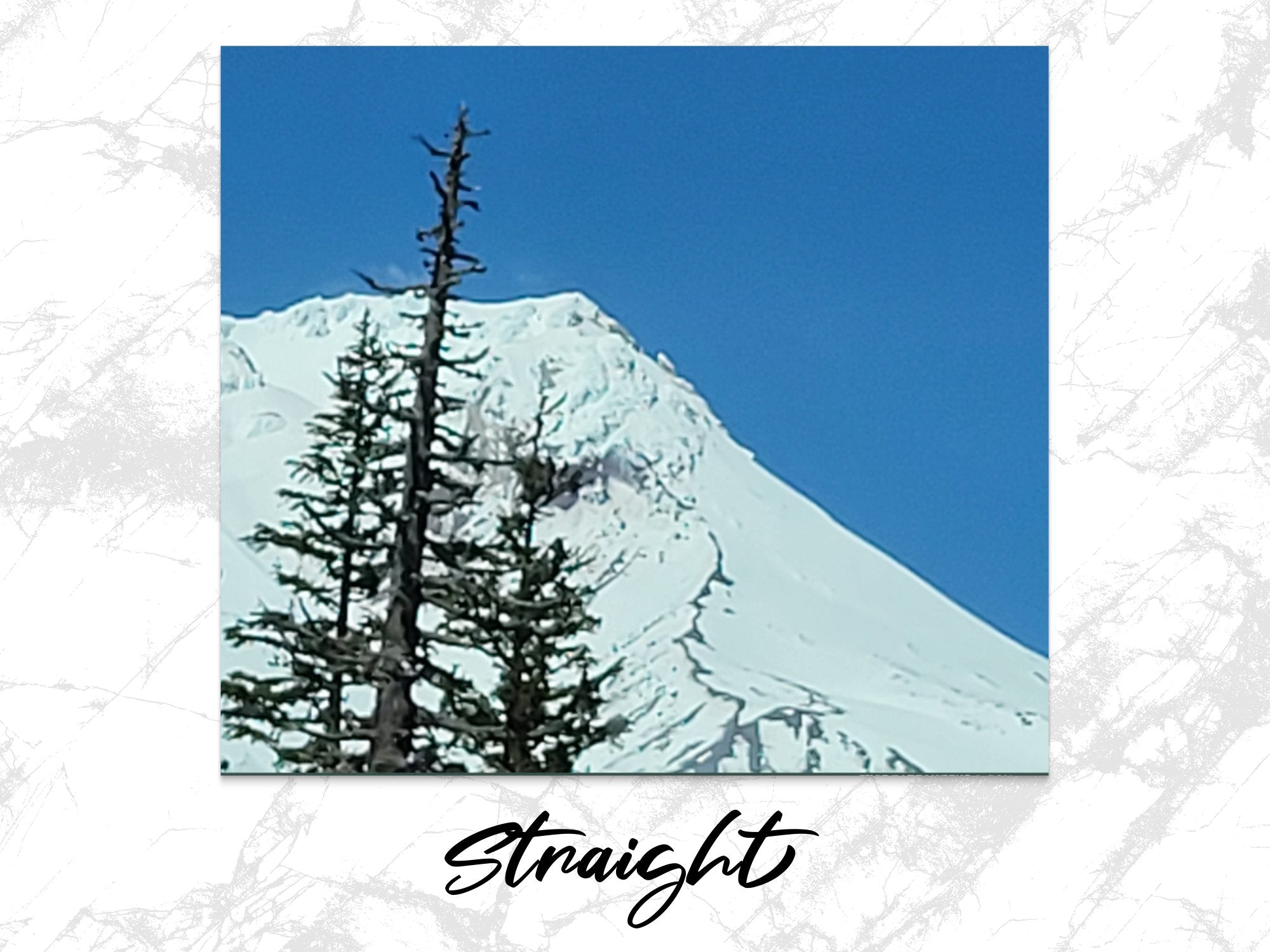 a8c5f2d6-caae-406e-abab-72897fe0acb6