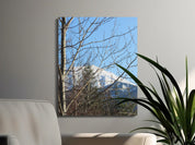 a8e0b03f-1188-48c7-9ca2-aec42e0e93cf