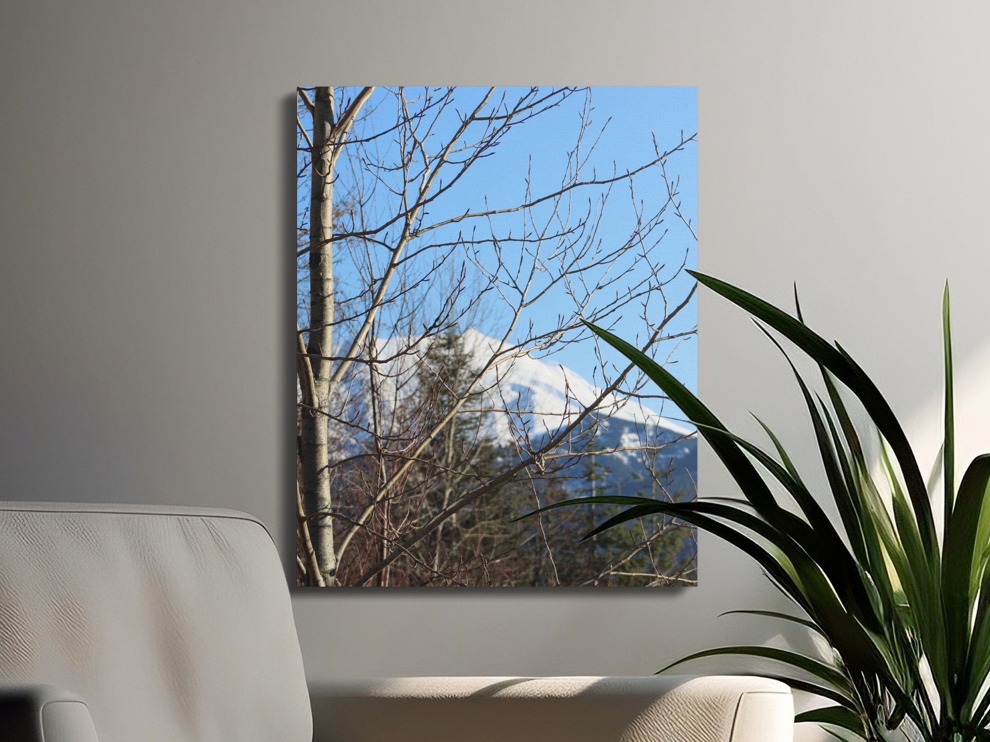 a8e0b03f-1188-48c7-9ca2-aec42e0e93cf