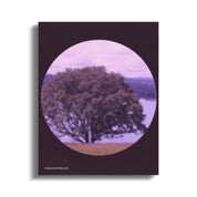 a92a12c5-dbb1-4b63-9c2a-185e3661b818