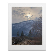 a9fb87a1-5c3b-49b1-b3d6-43494f7c9c25