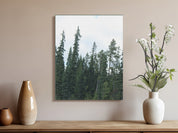 aa6207ff-aa18-45a4-979b-6efeff4b2cfc