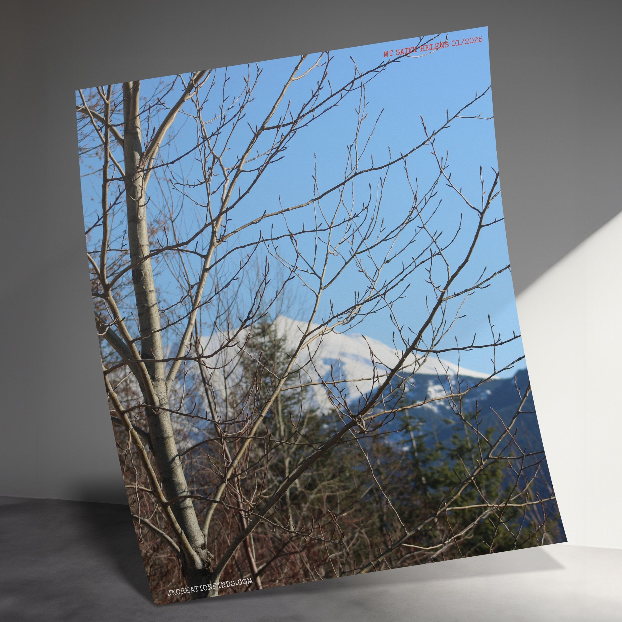 aae9846c-83aa-4e7a-94ed-4b8f259bbf73