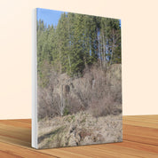 ac0d1ad5-c180-47b4-863c-9d9bb9424b1d