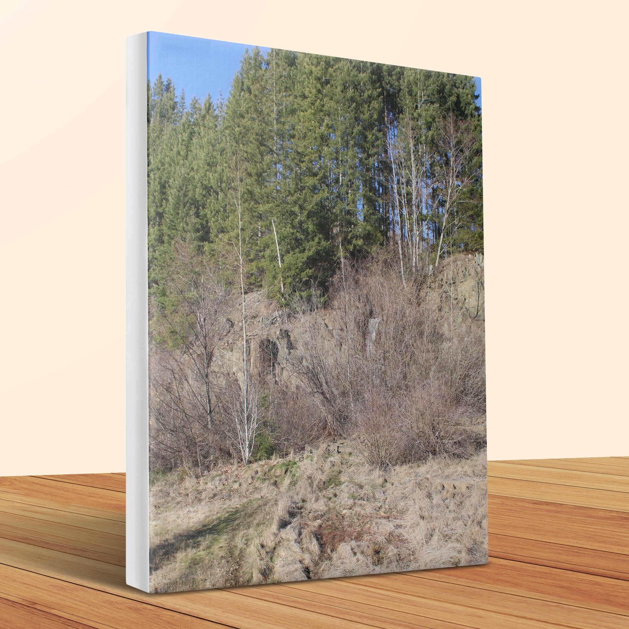 ac0d1ad5-c180-47b4-863c-9d9bb9424b1d