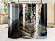 ac1d5ed5-831a-4884-9a94-5ace1155e1bd