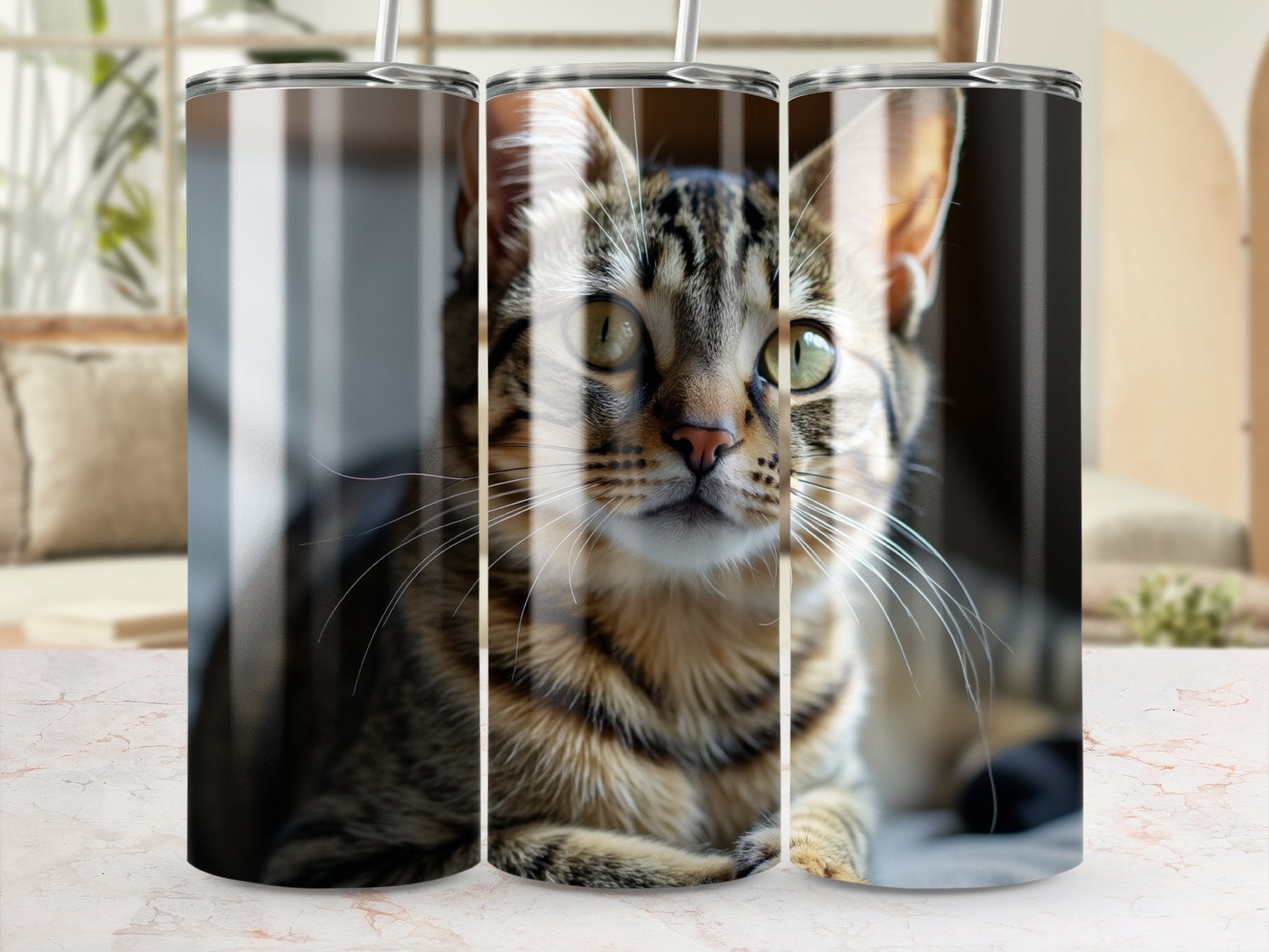 ac1d5ed5-831a-4884-9a94-5ace1155e1bd