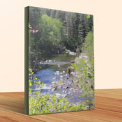 Serene Forest Stream Scene Canvas product