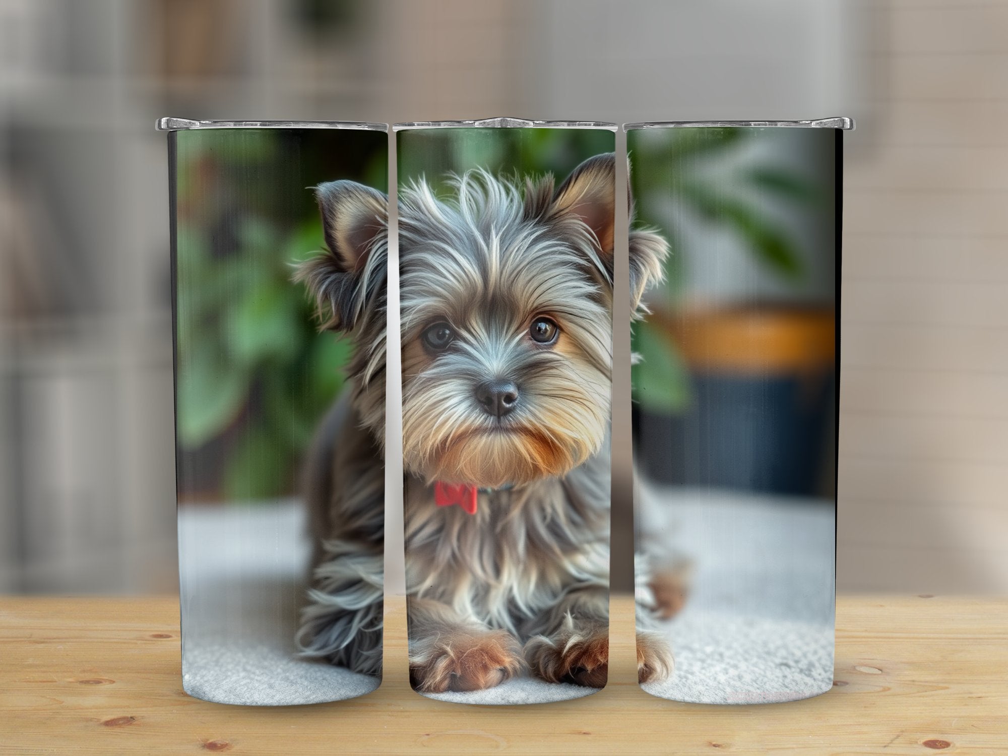 ac5833c1-74a5-4db3-9aed-17f8df96cdd5