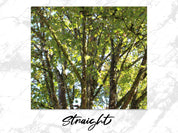 acc4fc32-f7b7-4ed2-97a3-32fe4e1a0c59