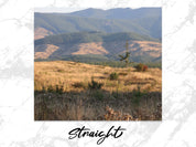 acf4c515-6b56-448b-8ddb-c43c05359d74