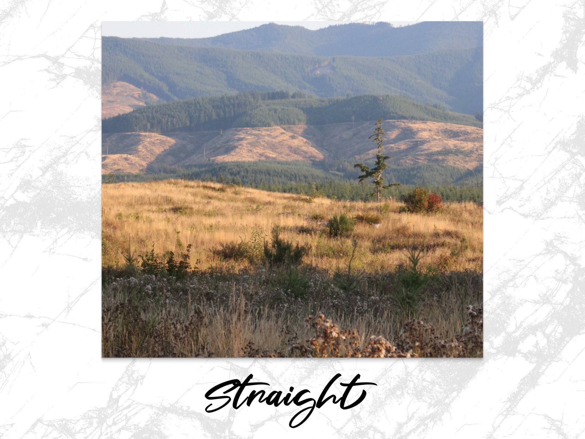 acf4c515-6b56-448b-8ddb-c43c05359d74