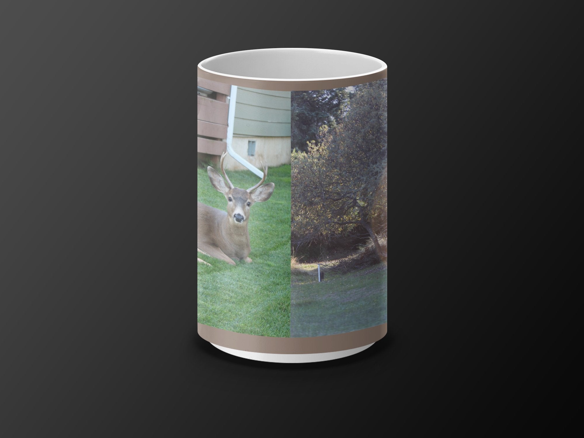 ad09cf2d-d29c-435b-963c-63ad61ac4192