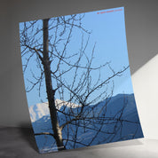 ada0ff4b-67a3-4d99-a1f0-ff11b73a57e2