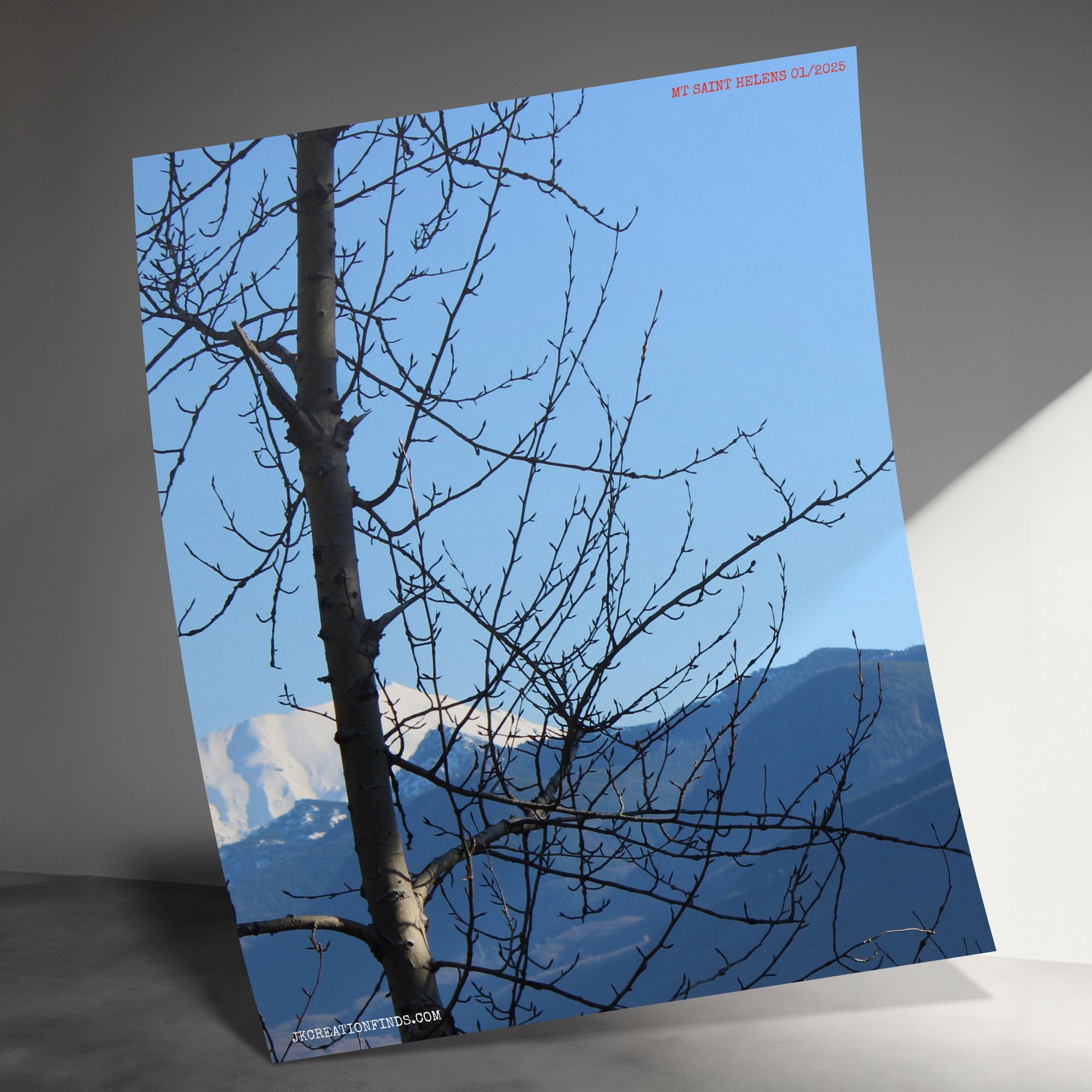 ada0ff4b-67a3-4d99-a1f0-ff11b73a57e2