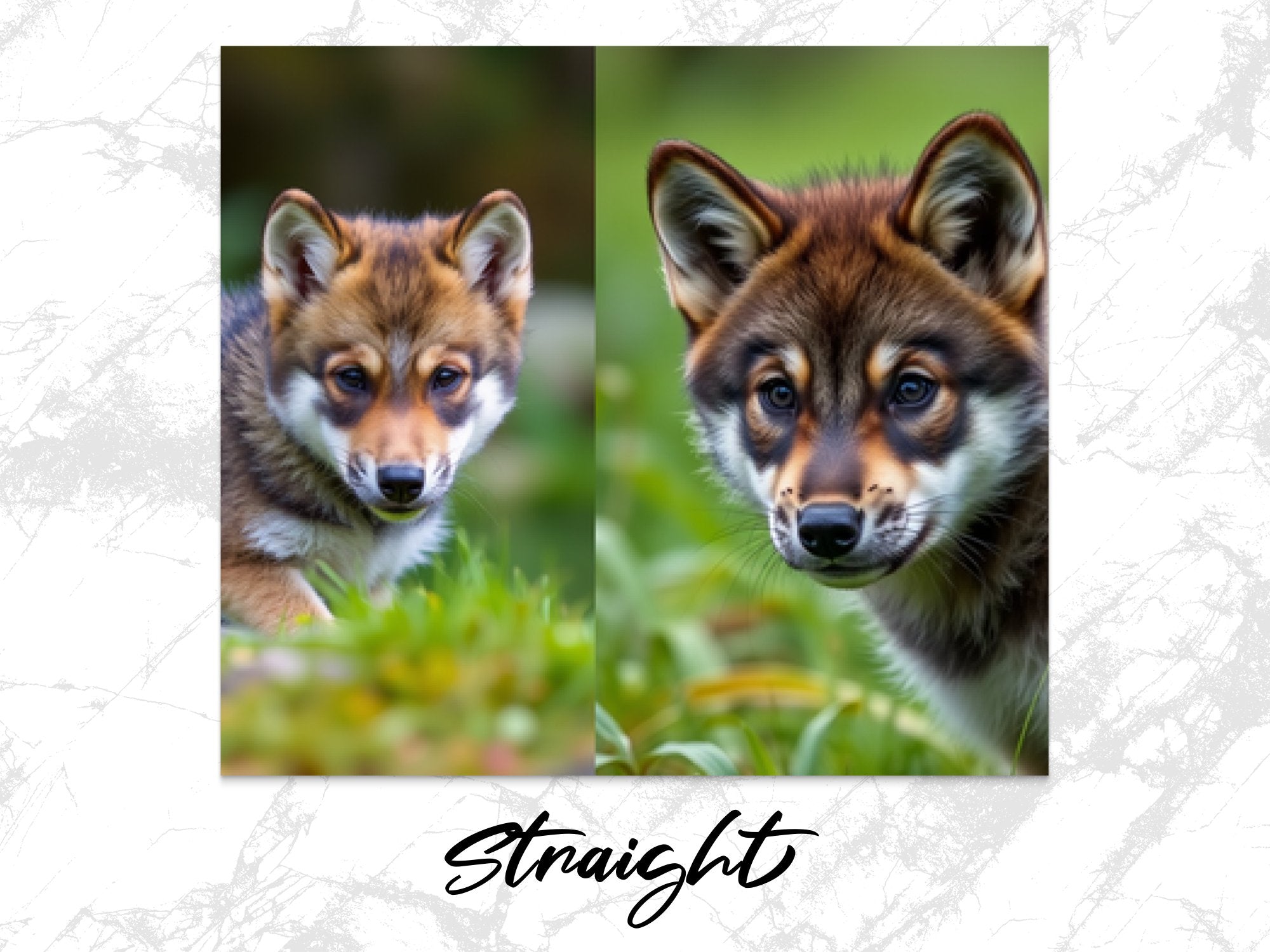 adc79e98-8227-4ca1-bfe8-3b6ba9881c59