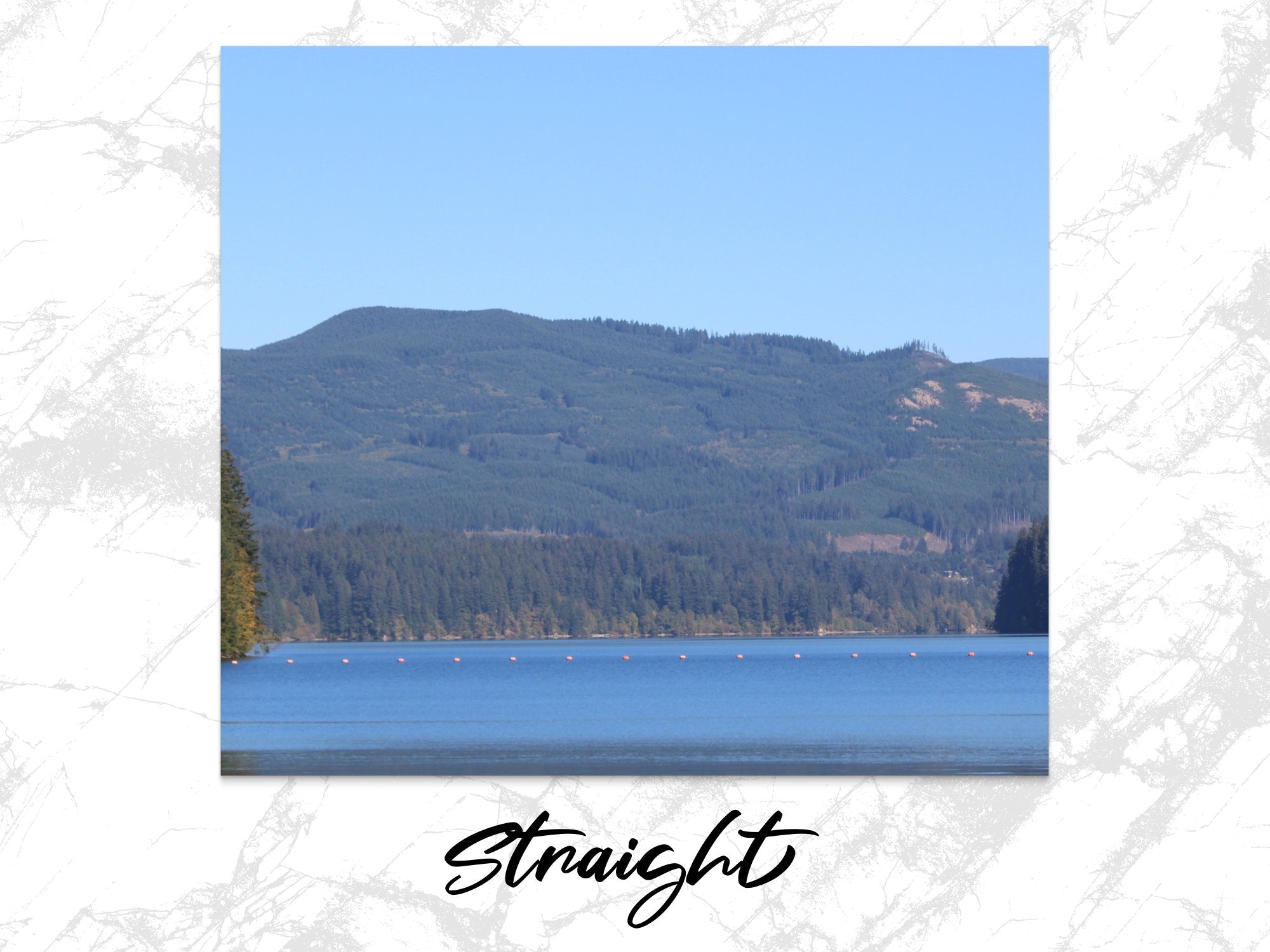 ae0cf9c6-b6be-4983-9cb7-b933717d91f8