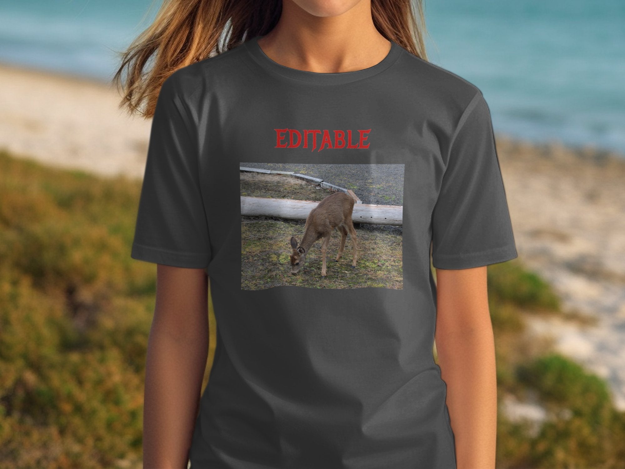 ae62adf3-e682-43ed-ad1d-996fdbbad38e