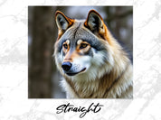 ae897b51-22a1-4ec8-abb9-7bc953078b98