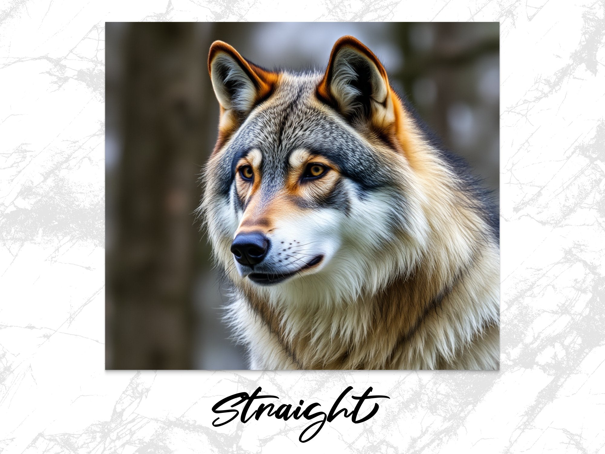 ae897b51-22a1-4ec8-abb9-7bc953078b98