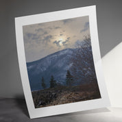 aea65fef-1842-4baf-afcb-6c2c91a01fc6