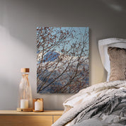 b078a443-da24-488d-90ea-8d24737036a9