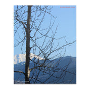 b088d419-3bf8-419e-af5b-be2e97b93d70