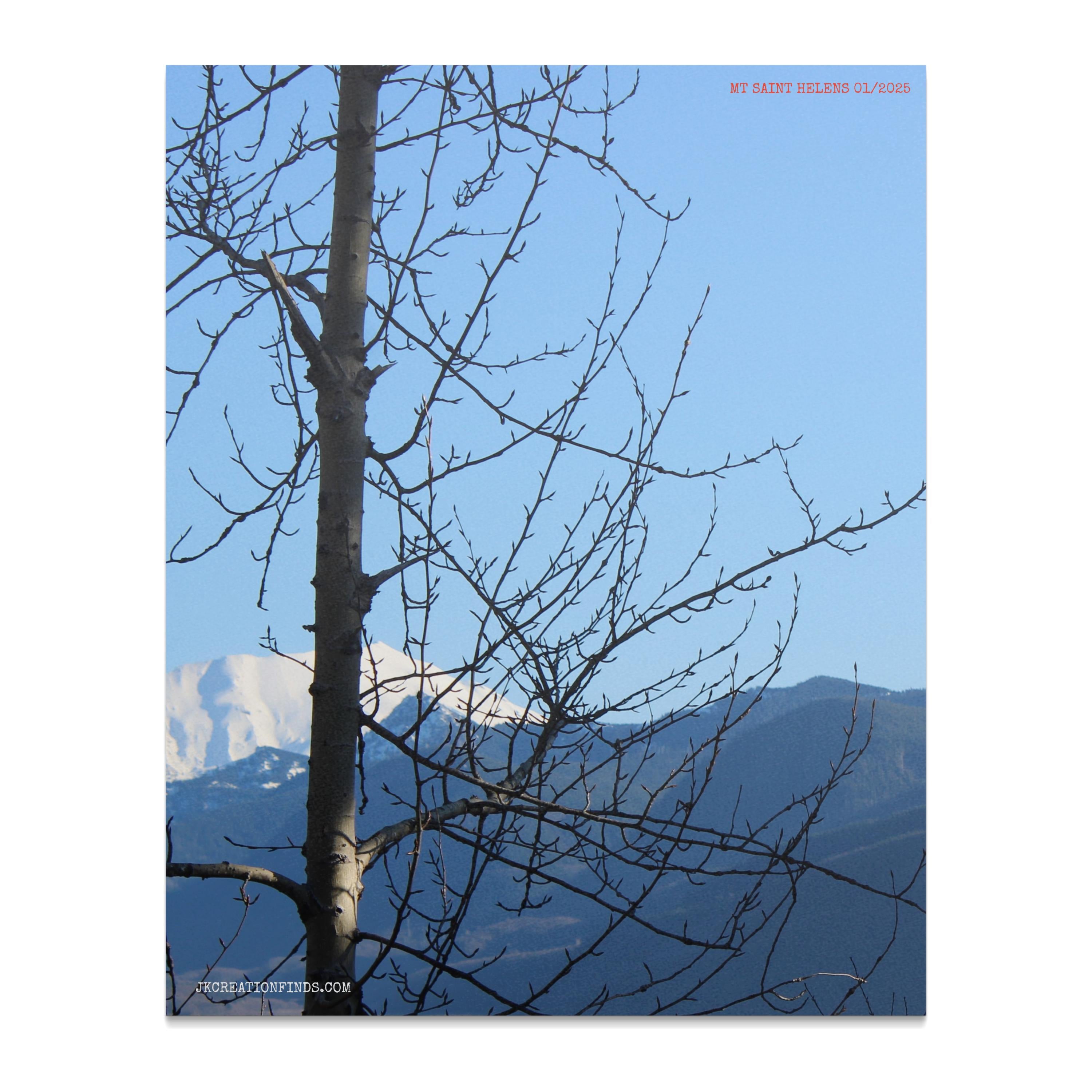 b088d419-3bf8-419e-af5b-be2e97b93d70