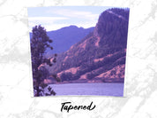 b0f91ec5-dbe6-411d-8d1e-2a283efe81a8