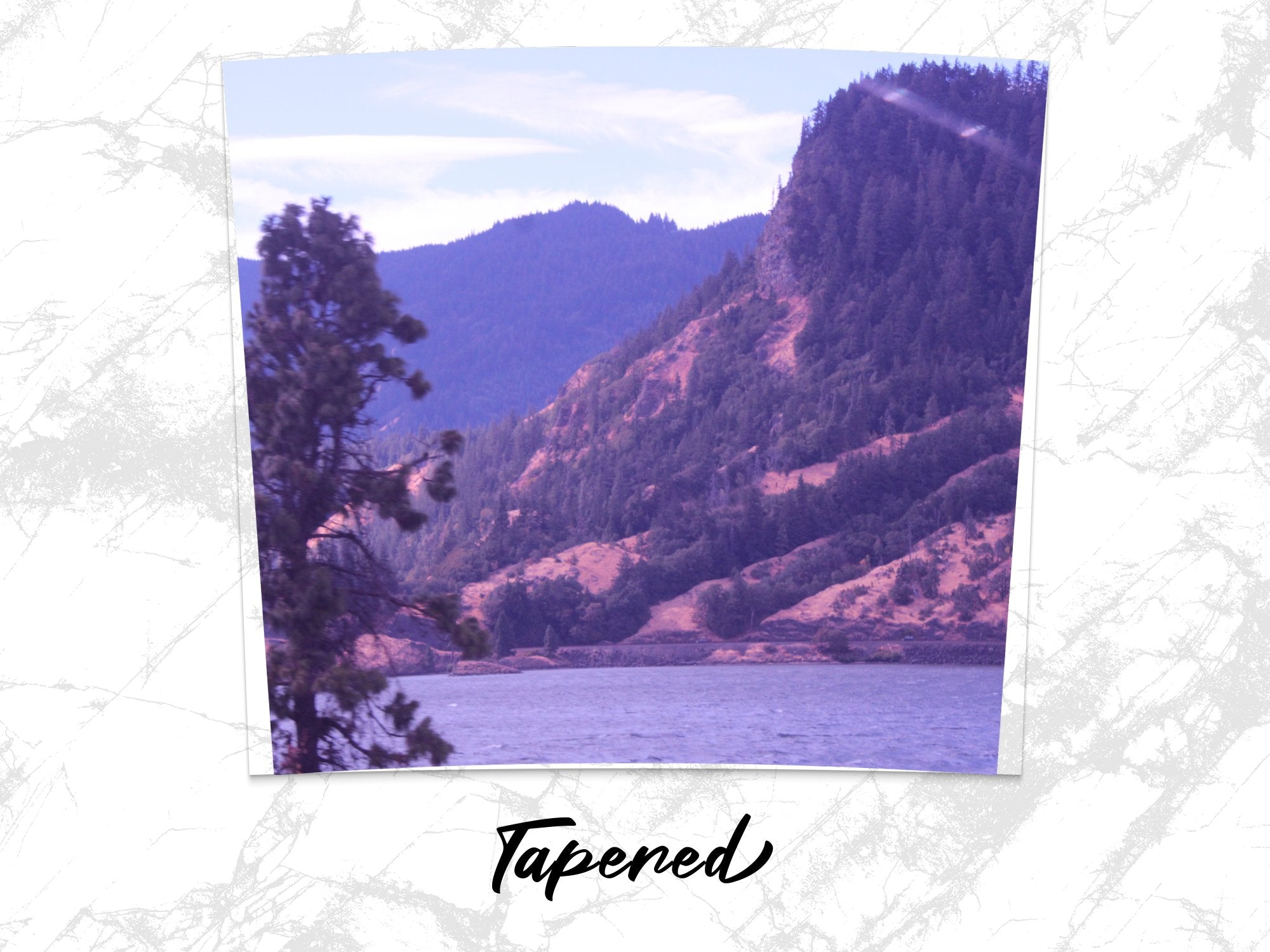 b0f91ec5-dbe6-411d-8d1e-2a283efe81a8