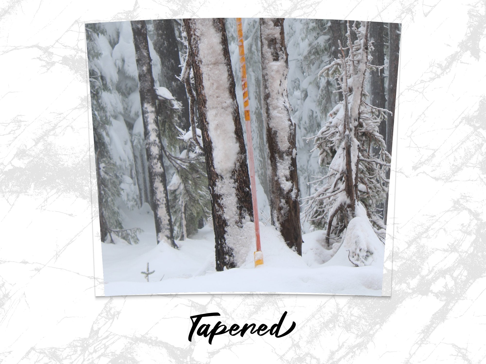 b1e9fddf-2977-4c07-9833-b85b5f21db0a