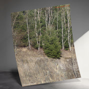 b1f00132-2dee-485c-b7ba-3411e6200ade