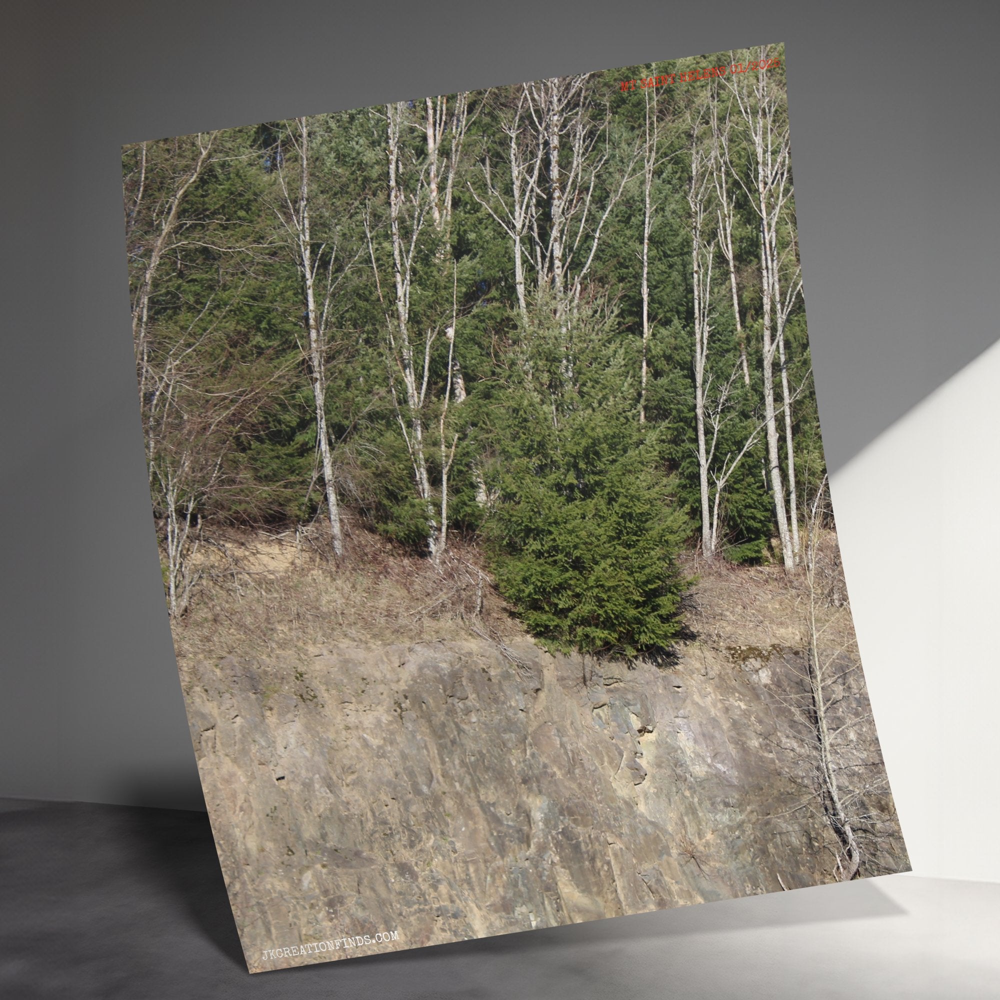 b1f00132-2dee-485c-b7ba-3411e6200ade